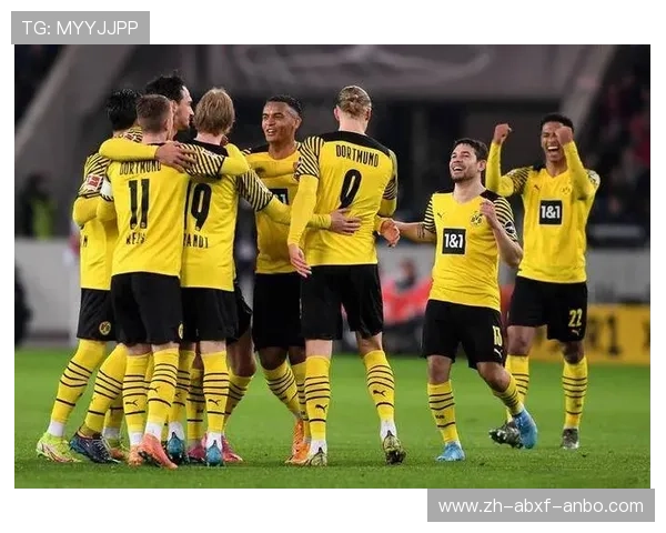 德甲球队主场容量排名与球迷氛围对比