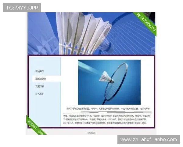 羽毛球结构特点