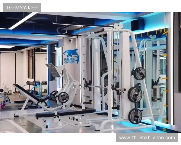 高端商用健身设备品牌如何定义行业性能标杆 高端商用健身设备品牌如何定义行业性能标杆