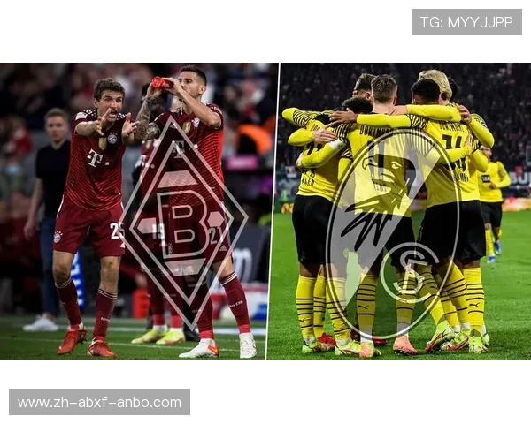 波恩是否存在德甲职业球队