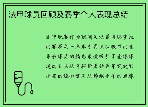 法甲球员回顾及赛季个人表现总结